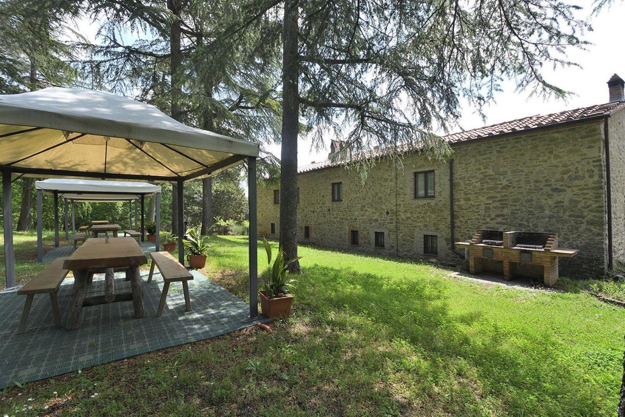 카이오레인챠안티 Luciana In Chianti 아파트 외부 사진